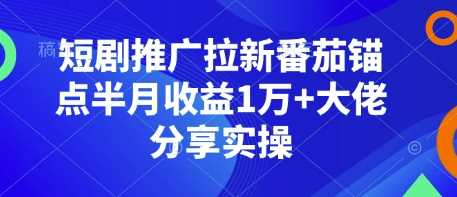 短剧推广拉新番茄锚点半月收益1万+大佬分享实操-开心网创