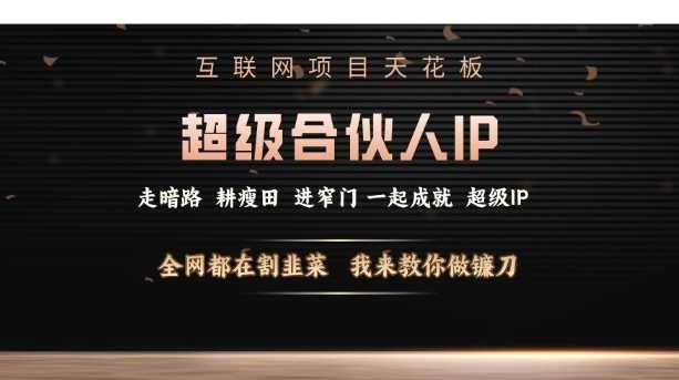互联网项目天花板，超级合伙人IP，全网都在割韭菜，我来教你做镰刀【仅揭秘】-开心网创
