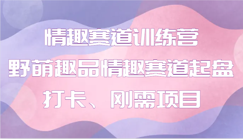 情趣赛道训练营 野萌趣品情趣赛道起盘打卡、刚需项目-开心网创
