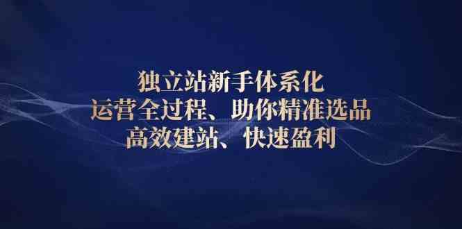 独立站新手体系化 运营全过程，助你精准选品、高效建站、快速盈利-开心网创