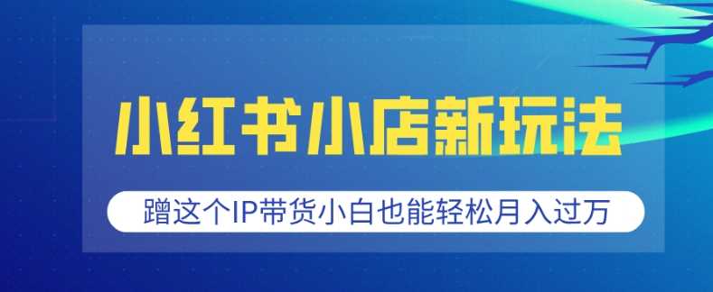 小红书小店新玩法，蹭这个IP带货，小白也能轻松月入过W【揭秘】-开心网创