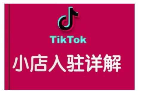 TikTok跨境小店运营全攻略,帮助你独立运营TK跨境小店的能力,实现销量增长-开心网创