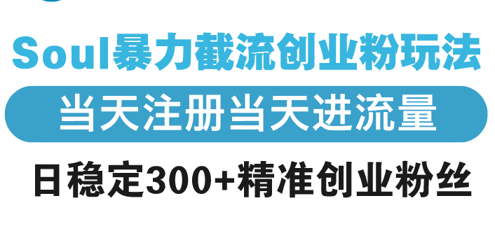 Soul暴力截流创业粉玩法，当天注册当天进流量，日稳定300+精准创业粉丝-开心网创