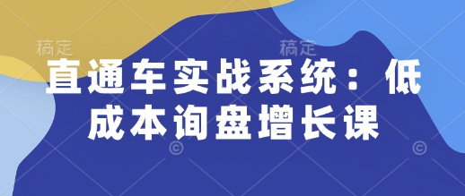 直通车实战系统：低成本询盘增长课，让个人通过技能实现升职加薪，让企业低成本获客，订单源源不断-开心网创