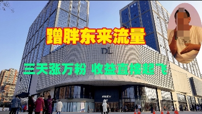 蹭胖东来流量，三天涨万粉，收益直接起飞-开心网创