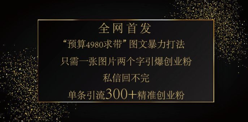 小红书神奇图片引流法，只需一张图，就能单条笔记凭借此方法，轻松引流 300 + 精准创业粉-开心网创