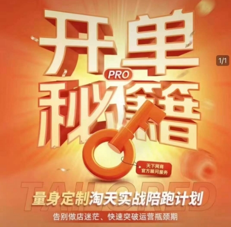 淘宝开单秘籍PRO，量身定制淘天实战陪跑计划，告别做店迷茫、快速突破运营瓶颈期-开心网创