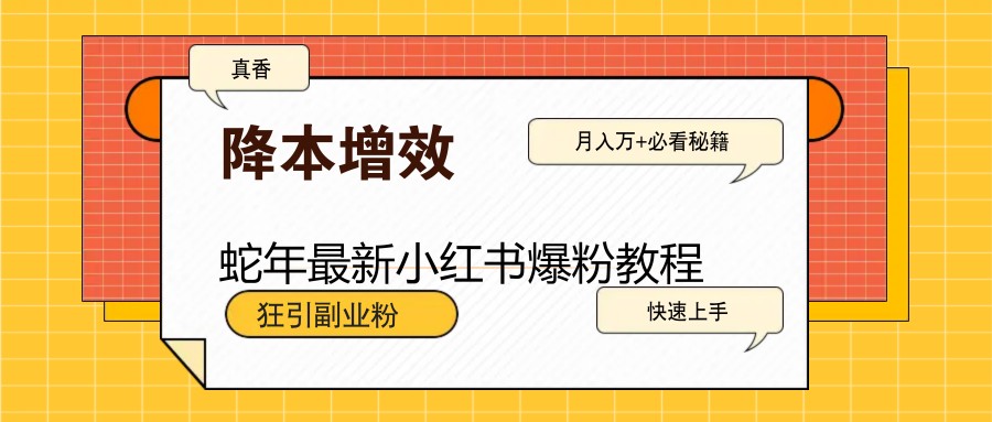 蛇年最新小红书爆粉教程，狂引副业粉，月入万+必看-开心网创