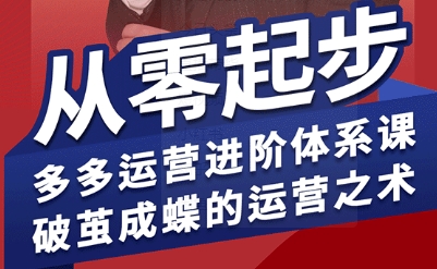 拼多多运营进阶系统课，从零起步，多多运营进阶体系课，破茧成蝶的运营之术（更新9月）-开心网创