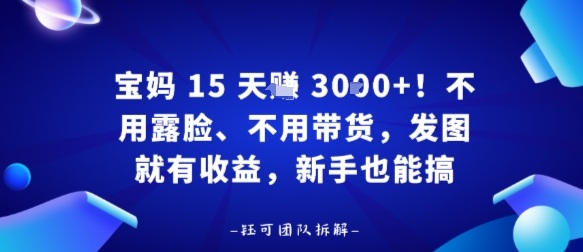 宝妈15天賺3k+！不用露脸、不用带货，发图就有收益，新手也能搞-开心网创