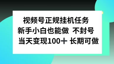 视频号正规挂播任务，有手就行不违规，轻松日入1张-开心网创