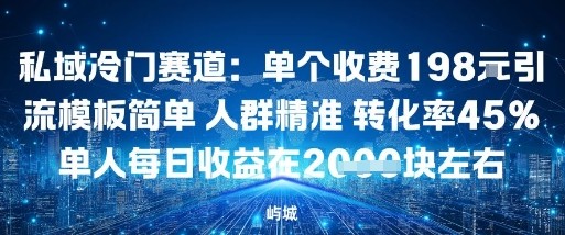 私域冷门赛道：单个收费198米引流模板简单人群精准转化率45%单人每日收益在1k+-开心网创