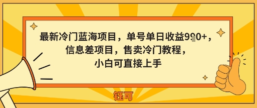 最新冷门蓝海项目，单号单日收益多张，信息差项目，售卖冷门教程，小白可直接上手-开心网创