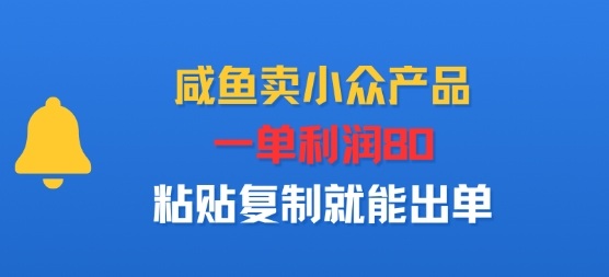 咸鱼卖小众产品，一单利润80，粘贴复制就能出单-开心网创