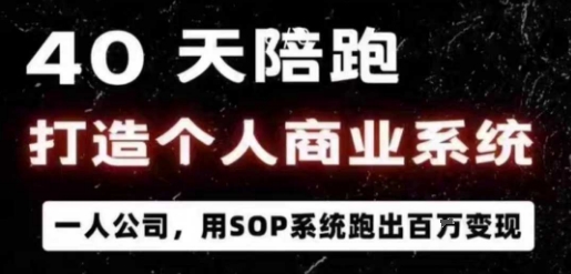 40天陪跑打造个人商业系统，一人公司，用SOP系统跑出百W变现-开心网创