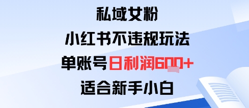 私域女粉：小红书平台不违规玩法单账号日利润6张+适合新手小白-开心网创