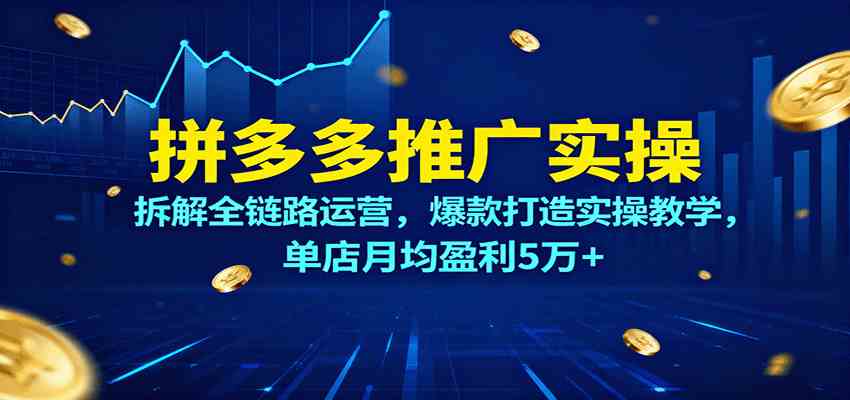 拼多多推广实操，拆解全链路运营，爆款打造实操教学，单店月均盈利5万+-开心网创