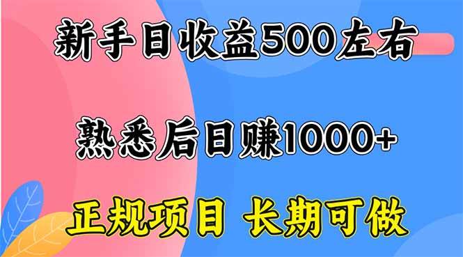 （16132期）新手日收益500+ 正规项目 长期可做-开心网创