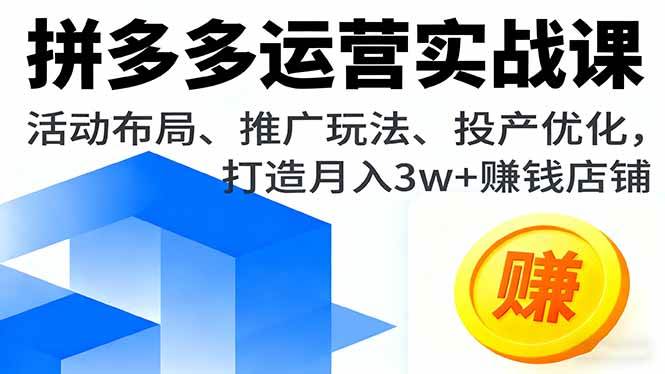 （16135期）拼多多运营实战课，活动布局、推广玩法、投产优化，打造月入3w+赚钱店铺-开心网创