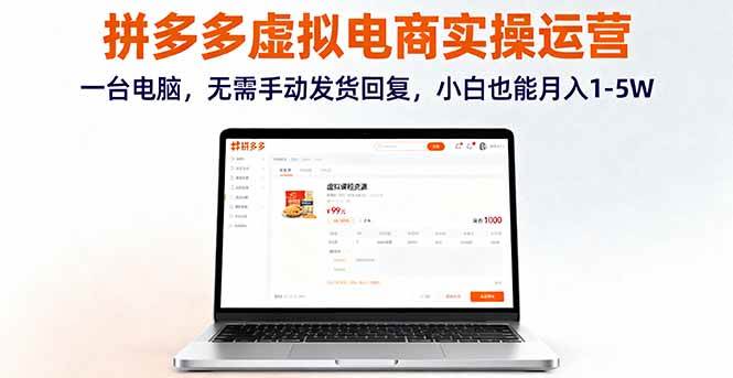 （16138期）拼多多虚拟电商实操运营，一台电脑，无需手动发货回复，小白也能月入1-5W-开心网创