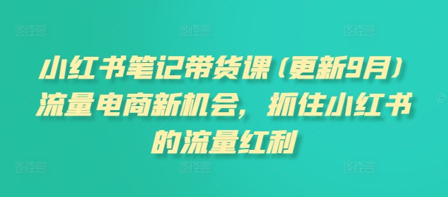 小红书笔记带货课(更新25年9月)流量电商新机会，抓住小红书的流量红利-开心网创