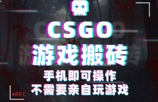 CSGO游戏挂G捡漏，单日扫货5张+，年底小高峰上车可吃肉，手机即可操作，兼职副业创业网创【揭秘】-开心网创
