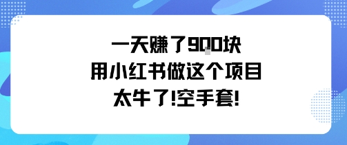 一天挣了9张用小红书做这个项目太牛了，空手套-开心网创