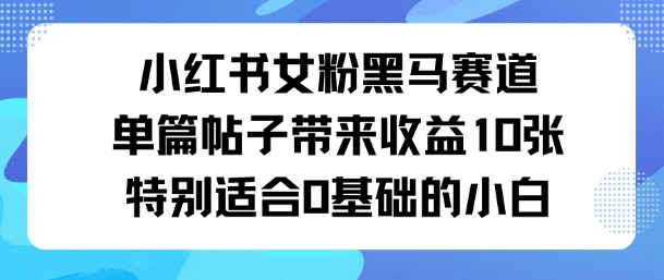 小红书女粉黑马赛道单篇帖子带来收益10张特别适合0基础的小白-开心网创