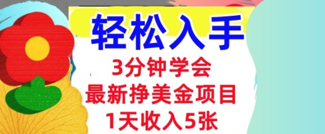 最新挣美金项目，日入5张，3分钟学会，小白轻松入手（长久的被动收入）-开心网创