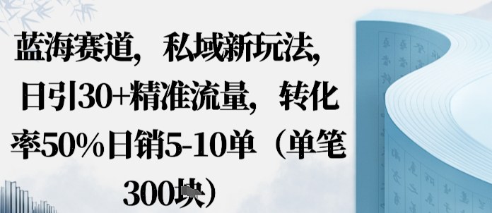 蓝海赛道，私域新玩法，日引30+精准流量，转化率50%日销5-10单（单笔3张）-开心网创