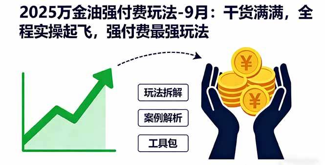 （16202期）2025万金油强付费玩法-9月：干货满满，全程实操起飞，强付费最强玩法-开心网创