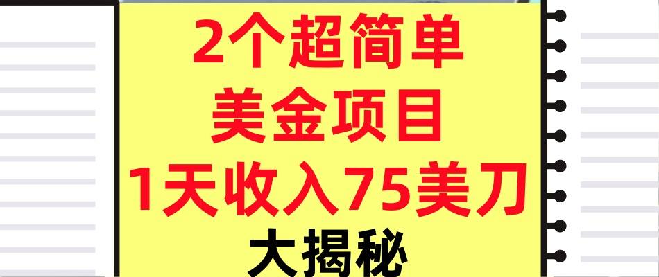 2个超简单美金项目，1天收入75美刀，3分钟学会，内部教程（大揭秘）-开心网创