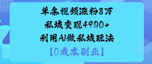 单条视频涨粉8W私域变现1k+利用AI做私域玩法-开心网创
