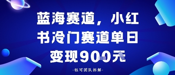 小红书冷门蓝海赛道，0成本，单日变现多张-开心网创