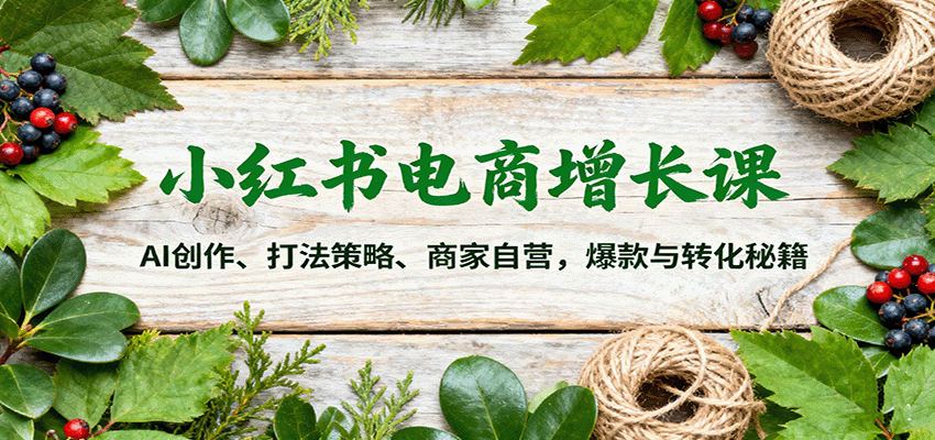 小红书电商增长课：AI创作、打法策略、商家自营，爆款与转化秘籍-开心网创