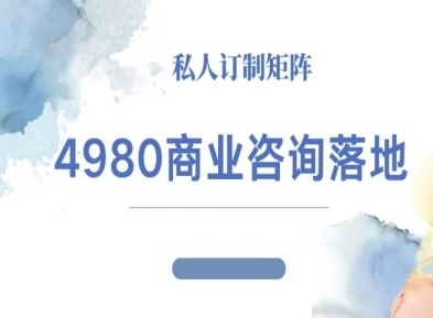 4980商业咨询师落地课程-ip运营高客单教程-开心网创