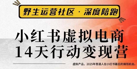 小红书虚拟电商14天变现训练营3.0，虚拟产品，2025年普通人在小红书最后的搞钱机会-开心网创