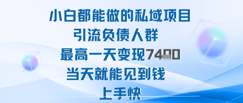 2025年小白都能做的私域项目引流负债人群最高一天变现1k+高变现难度低当天就能见到钱上手快-开心网创