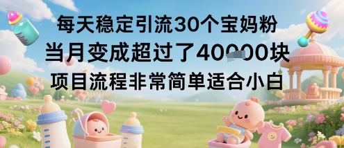 每天稳定引流30个宝妈粉当月变成超过了1W+项目流程非常简单适合小白-开心网创