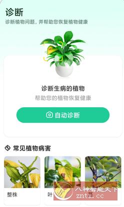 Plant Parent 植物养护v1.101高级版-开心网创