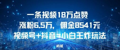 一条视频18W点赞涨粉6.5W，佣金8541视频号+抖音=小白王炸玩法-开心网创