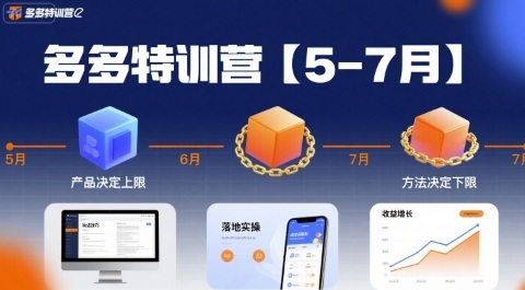 多多特训营，产品决定上限，方法决定下限，各种玩法技巧落地实操（更新）-开心网创