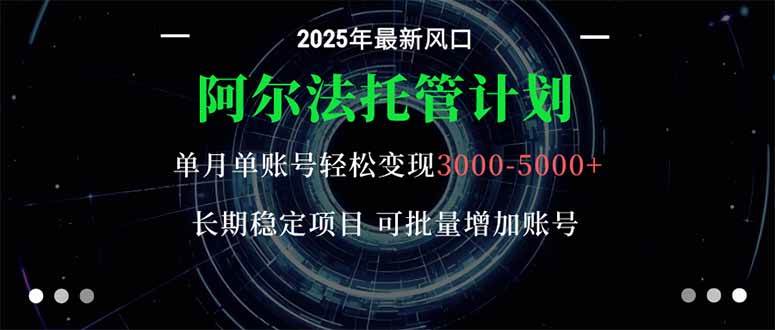 （16360期）阿尔法托管计划 单账号月入3000-5000，长期稳定项目，新手小白轻松上手。-开心网创